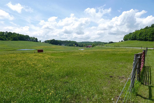 horse boarding pasture