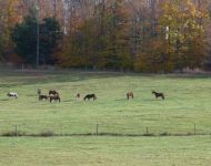 23517569 126900348001331 6020157695239805395 n